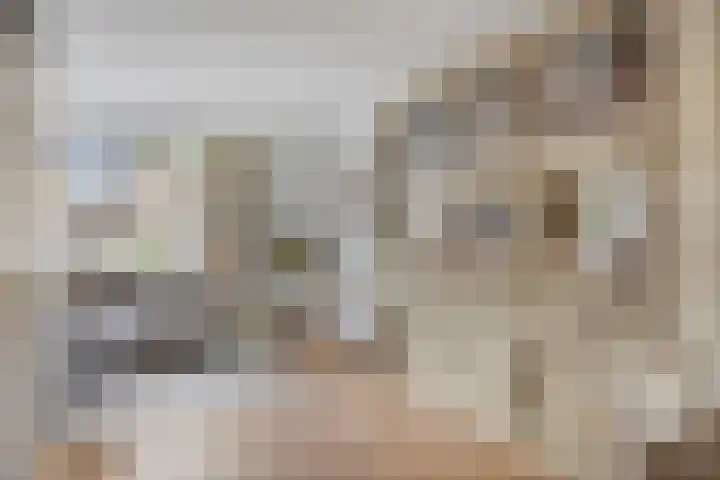 Beemden 7 Berlicum thumbnail 8