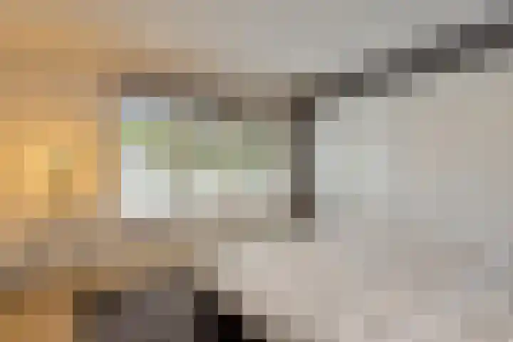 Beemdenlaan 4 Roermond thumbnail 24