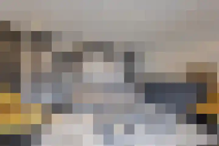Beemdenlaan 4 Roermond thumbnail 30