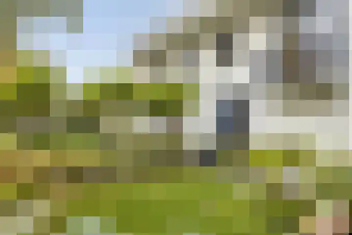 Beemdenlaan 4 Roermond thumbnail 4