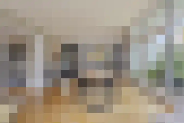 Beemdenlaan 4 Roermond thumbnail 8