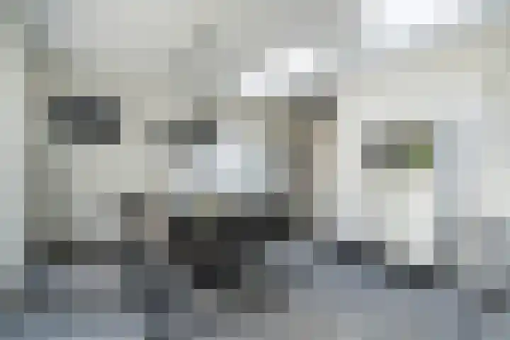 Beemdenstraat 29 Weert thumbnail 13