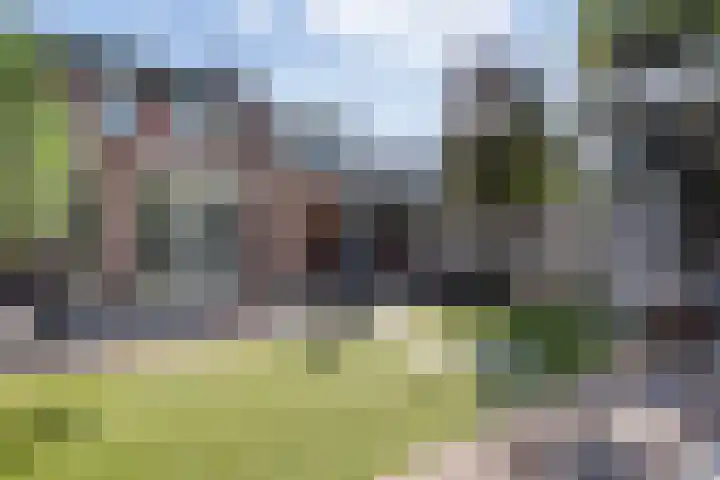 Beemdenstraat 29 Weert thumbnail 4