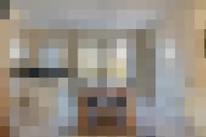 Beemdgras 10 Bodegraven thumbnail 13