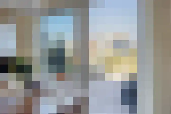 Beemdgras 10 Bodegraven thumbnail 17