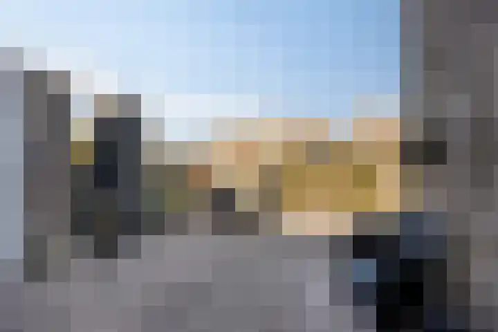 Beemdgras 10 Bodegraven thumbnail 18