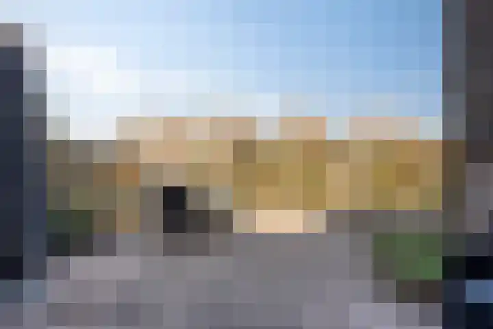 Beemdgras 10 Bodegraven thumbnail 19