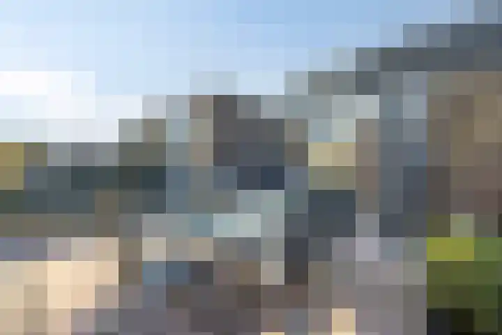 Beemdgras 10 Bodegraven thumbnail 21