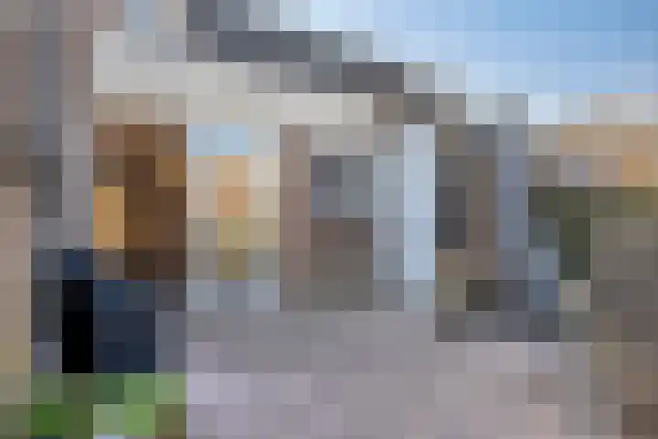 Beemdgras 10 Bodegraven thumbnail 22