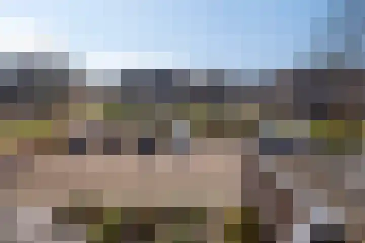 Beemdgras 10 Bodegraven thumbnail 35