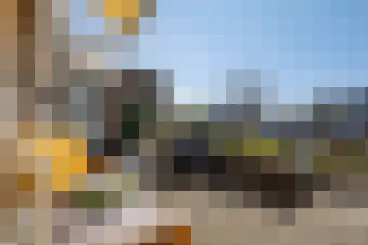 Beemdgras 10 Bodegraven thumbnail 4