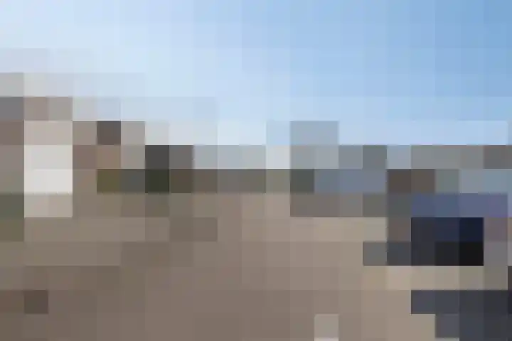 Beemdgras 10 Bodegraven thumbnail 40