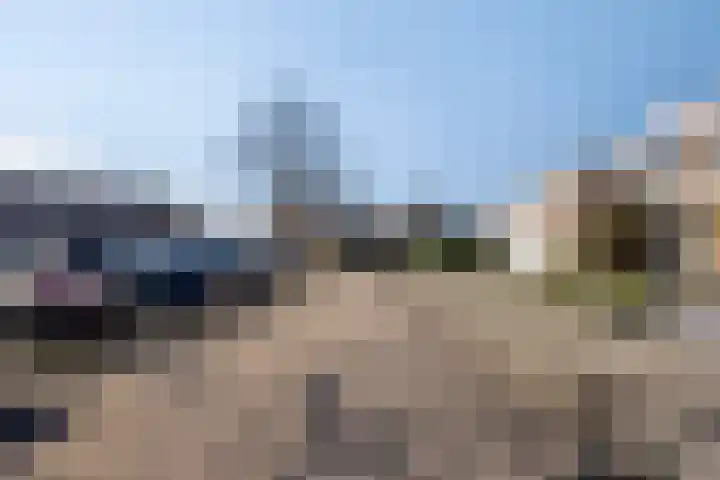 Beemdgras 10 Bodegraven thumbnail 41