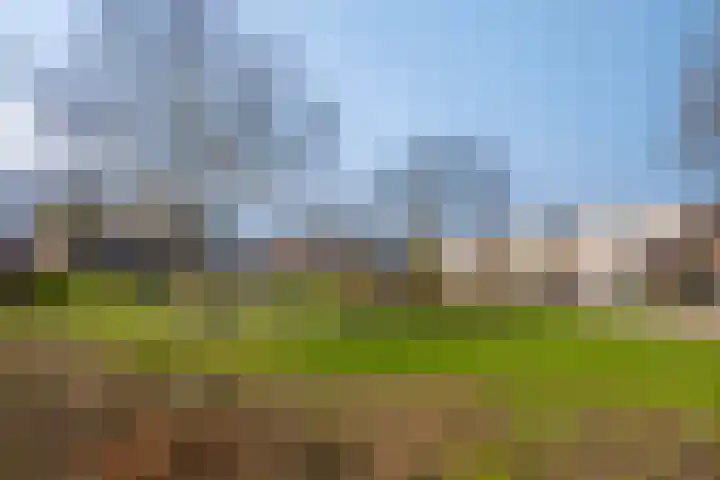 Beemdgras 10 Bodegraven thumbnail 42