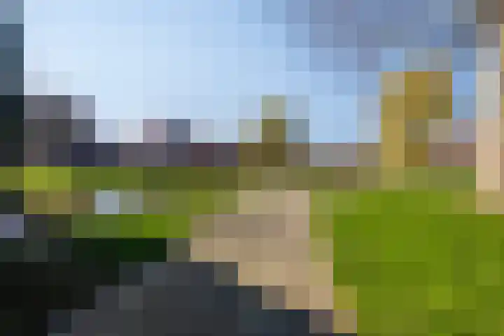 Beemdgras 10 Bodegraven thumbnail 43