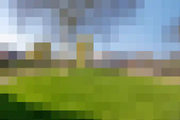 Beemdgras 10 Bodegraven thumbnail 44
