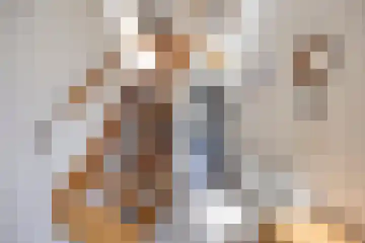 Beemdgras 10 Bodegraven thumbnail 5