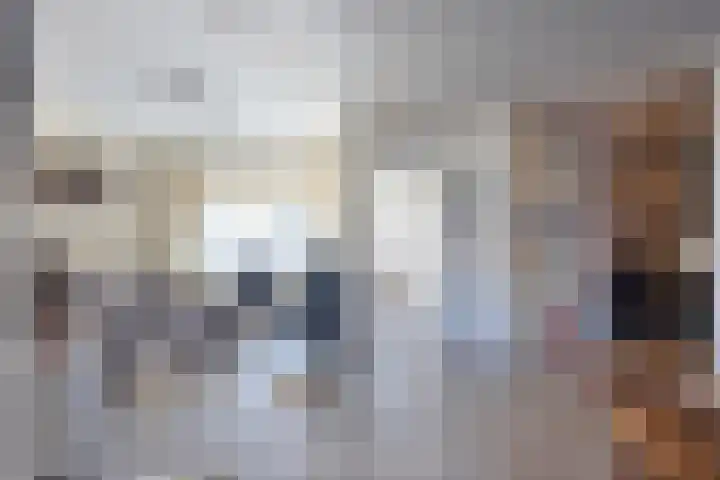 Beemdgras 10 Bodegraven thumbnail 7