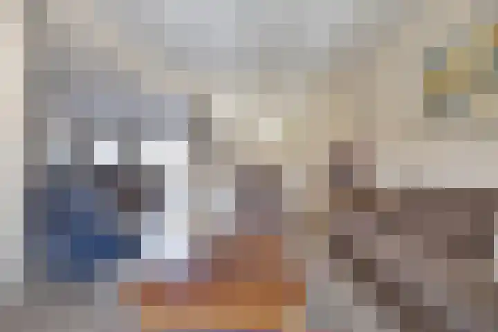 Beemdgras 10 Bodegraven thumbnail 9