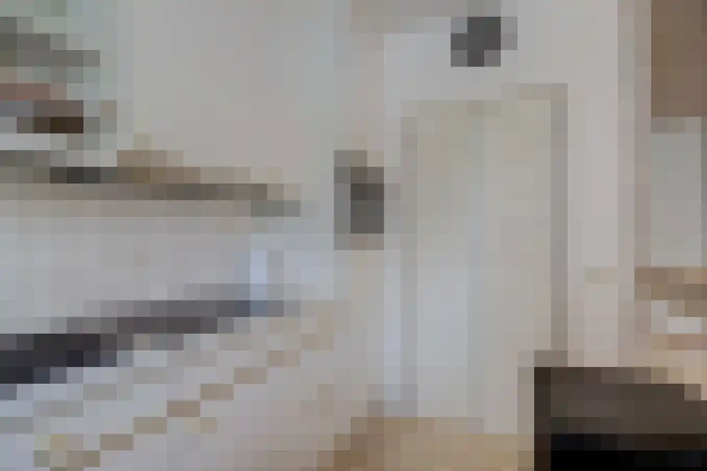 Beemdgras 12 Bodegraven thumbnail 18