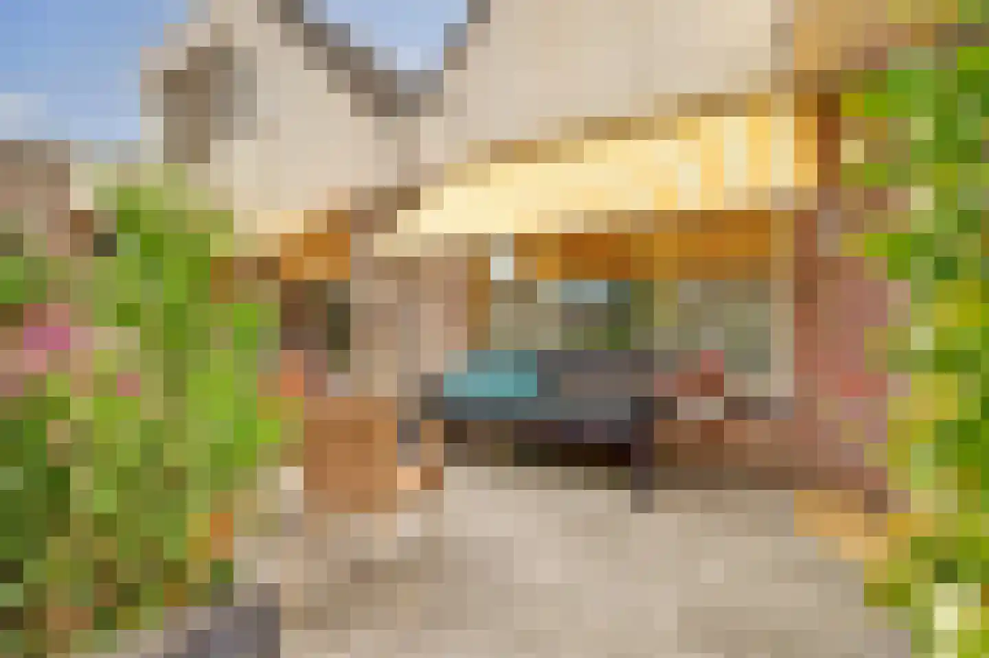 Beemdgras 12 Bodegraven thumbnail 42