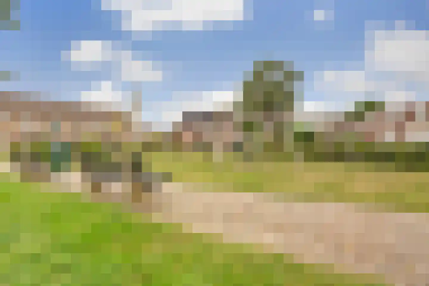 Beemdgras 12 Bodegraven thumbnail 47