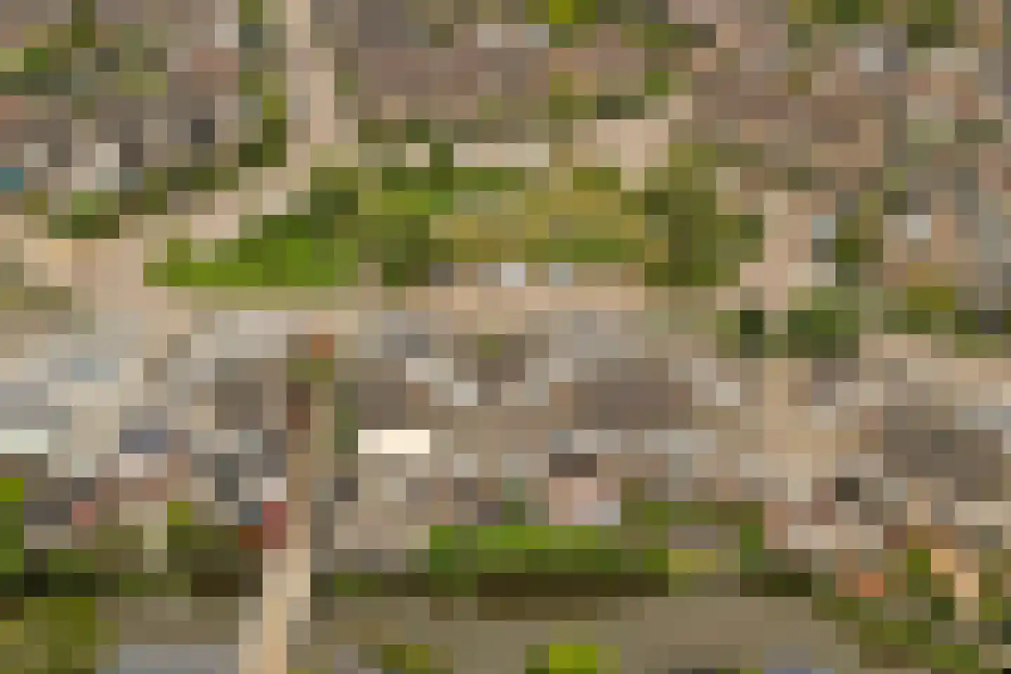 Beemdgras 12 Bodegraven thumbnail 48