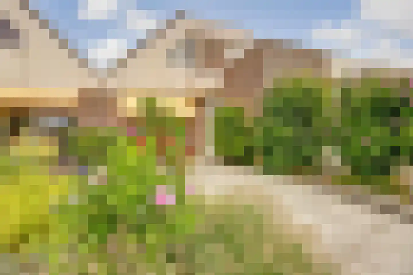Beemdgras 12 Bodegraven thumbnail 5