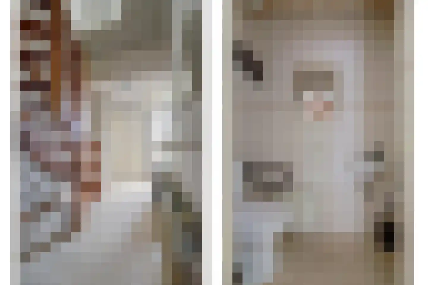 Beemdgras 12 Bodegraven thumbnail 6