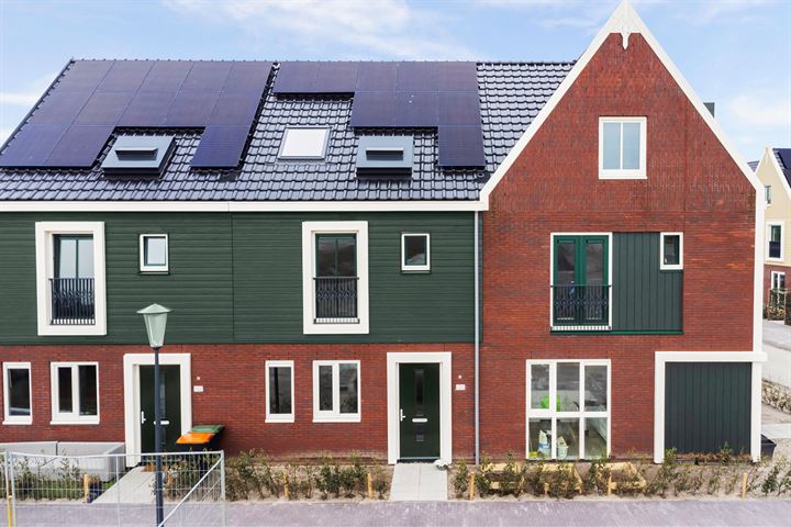 Beemdgras 124 en Assendelft foto