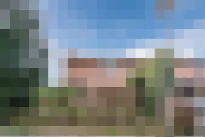 Beemdgras 13 Gouda thumbnail 6