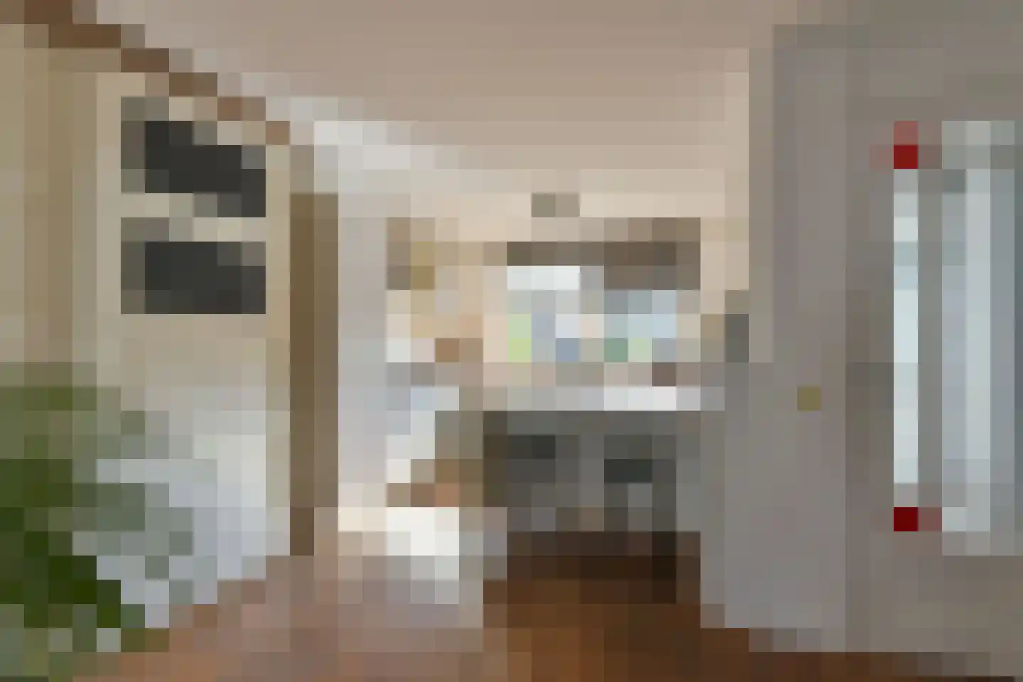 Beemdgras 14 Wilnis thumbnail 11