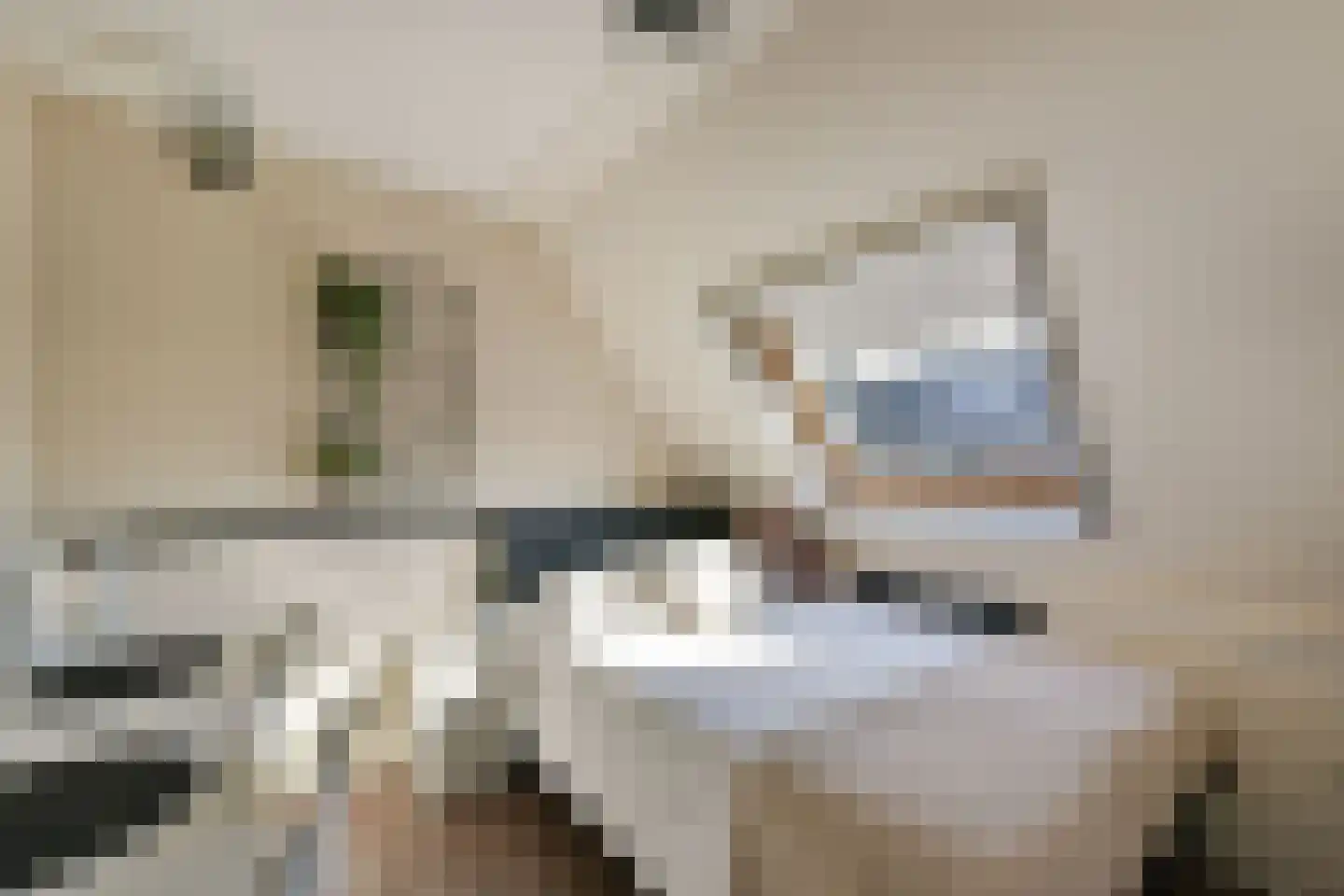 Beemdgras 14 Wilnis thumbnail 17