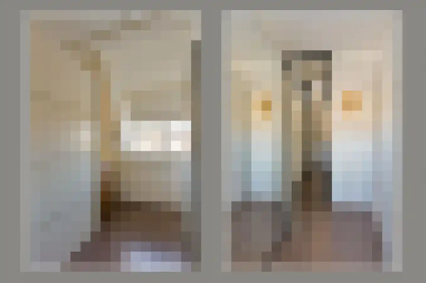 Beemdgras 14 Wilnis thumbnail 20