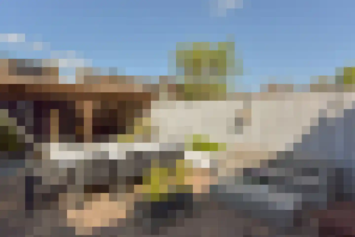 Beemdgras 14 Wilnis thumbnail 24