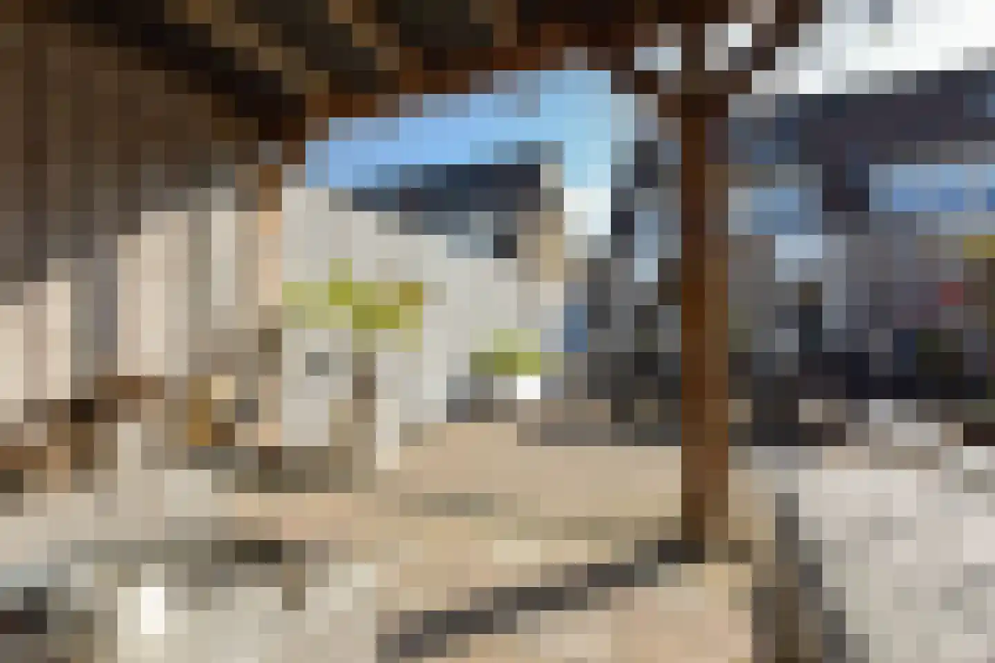 Beemdgras 14 Wilnis thumbnail 26