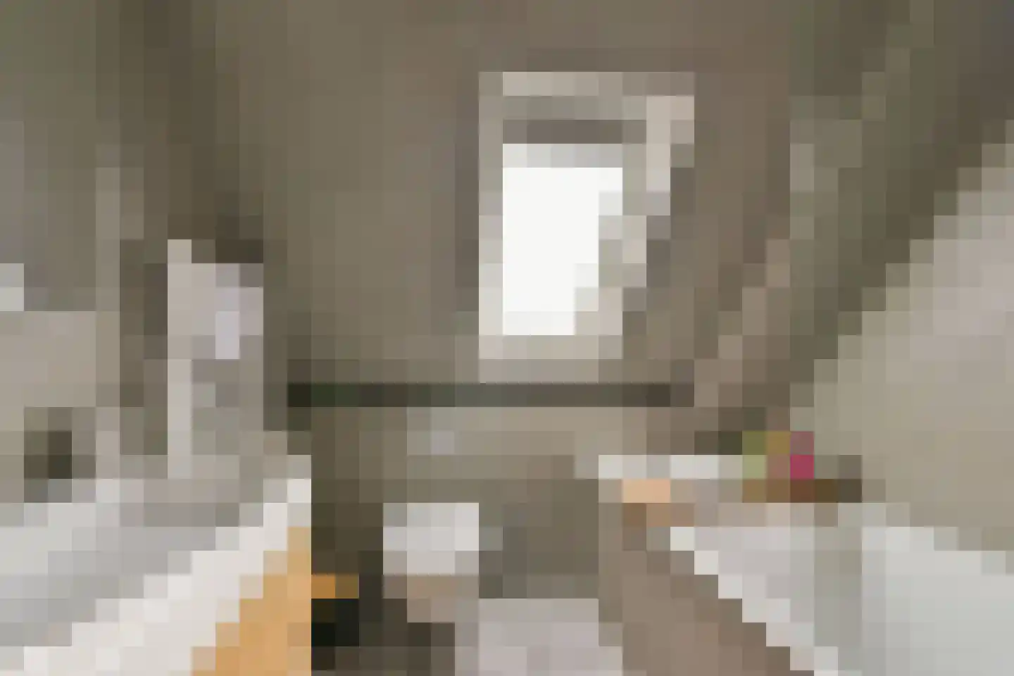 Beemdgras 14 Wilnis thumbnail 4