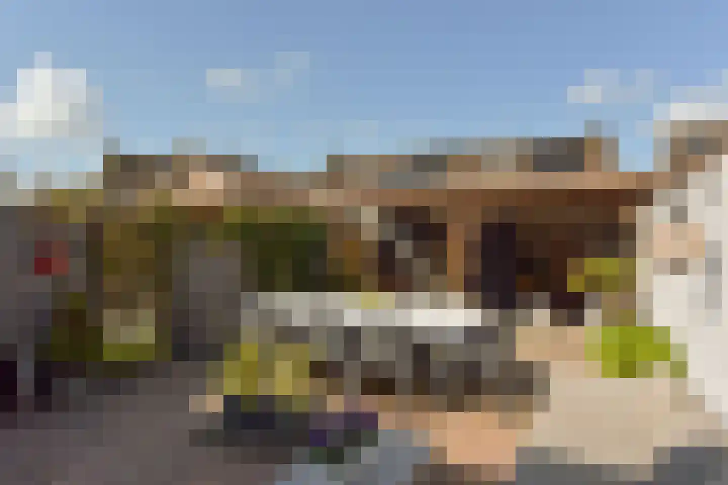 Beemdgras 14 Wilnis thumbnail 5