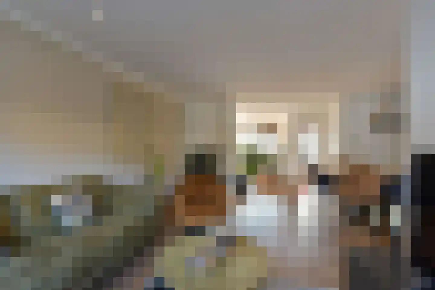 Beemdgras 14 Wilnis thumbnail 6