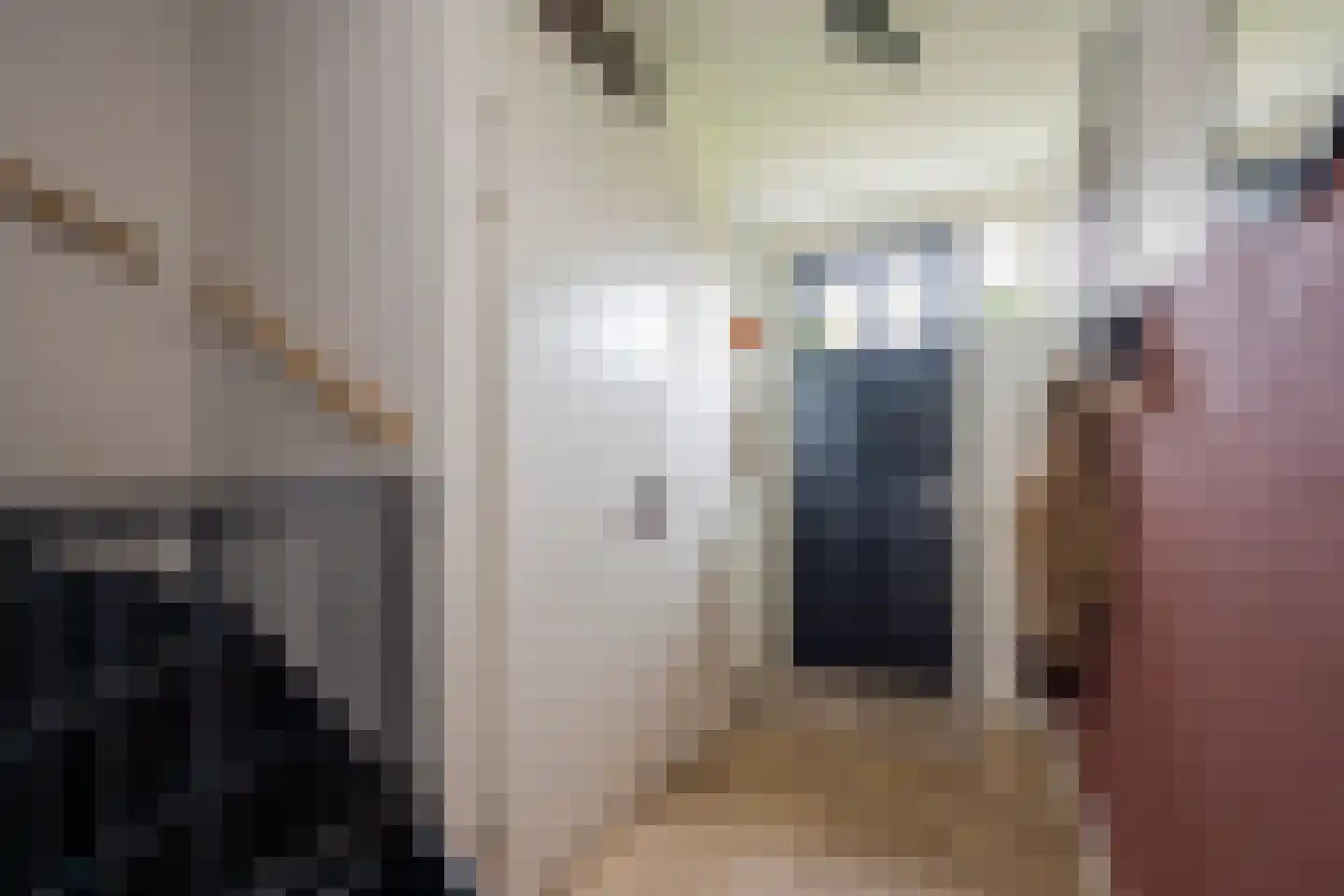Beemdgras 20 Nijkerkerveen thumbnail 12
