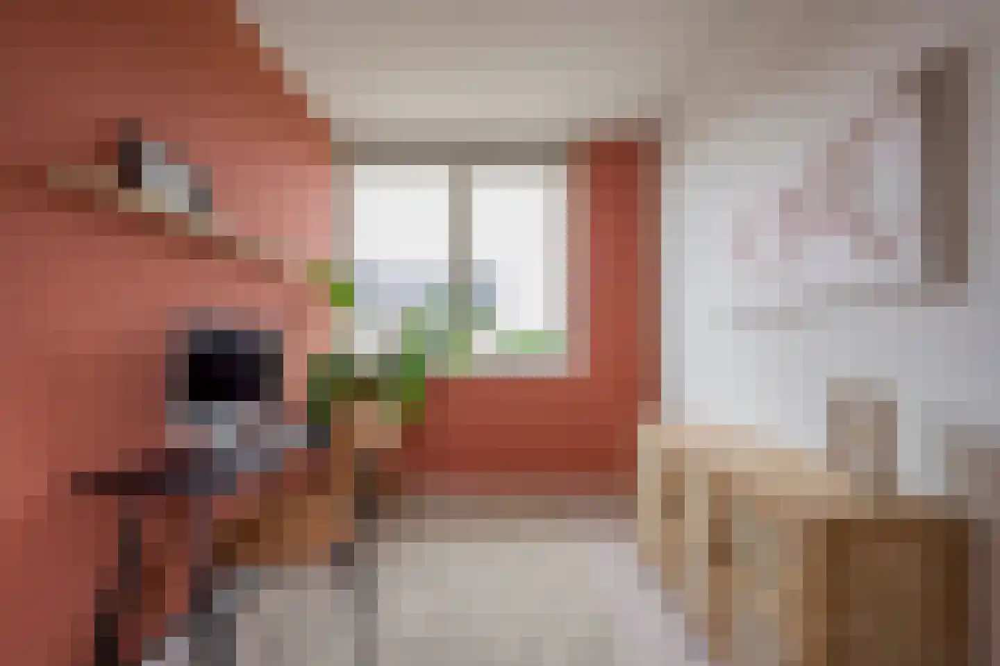 Beemdgras 20 Nijkerkerveen thumbnail 18