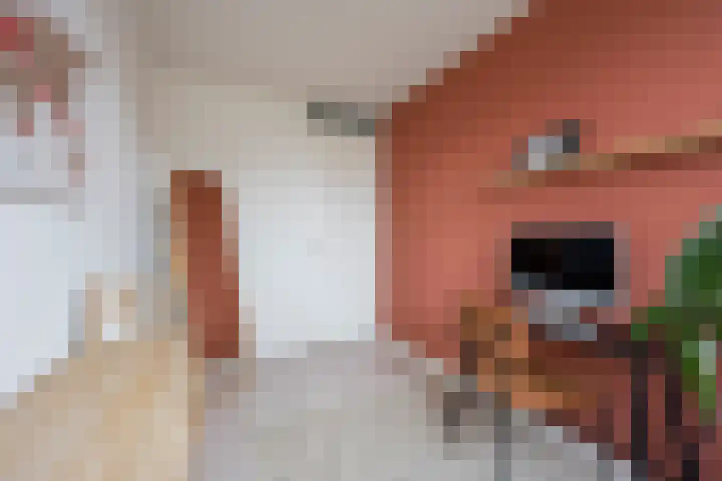 Beemdgras 20 Nijkerkerveen thumbnail 19