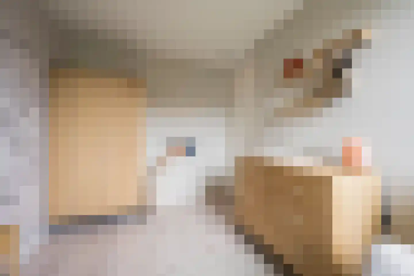 Beemdgras 20 Nijkerkerveen thumbnail 21