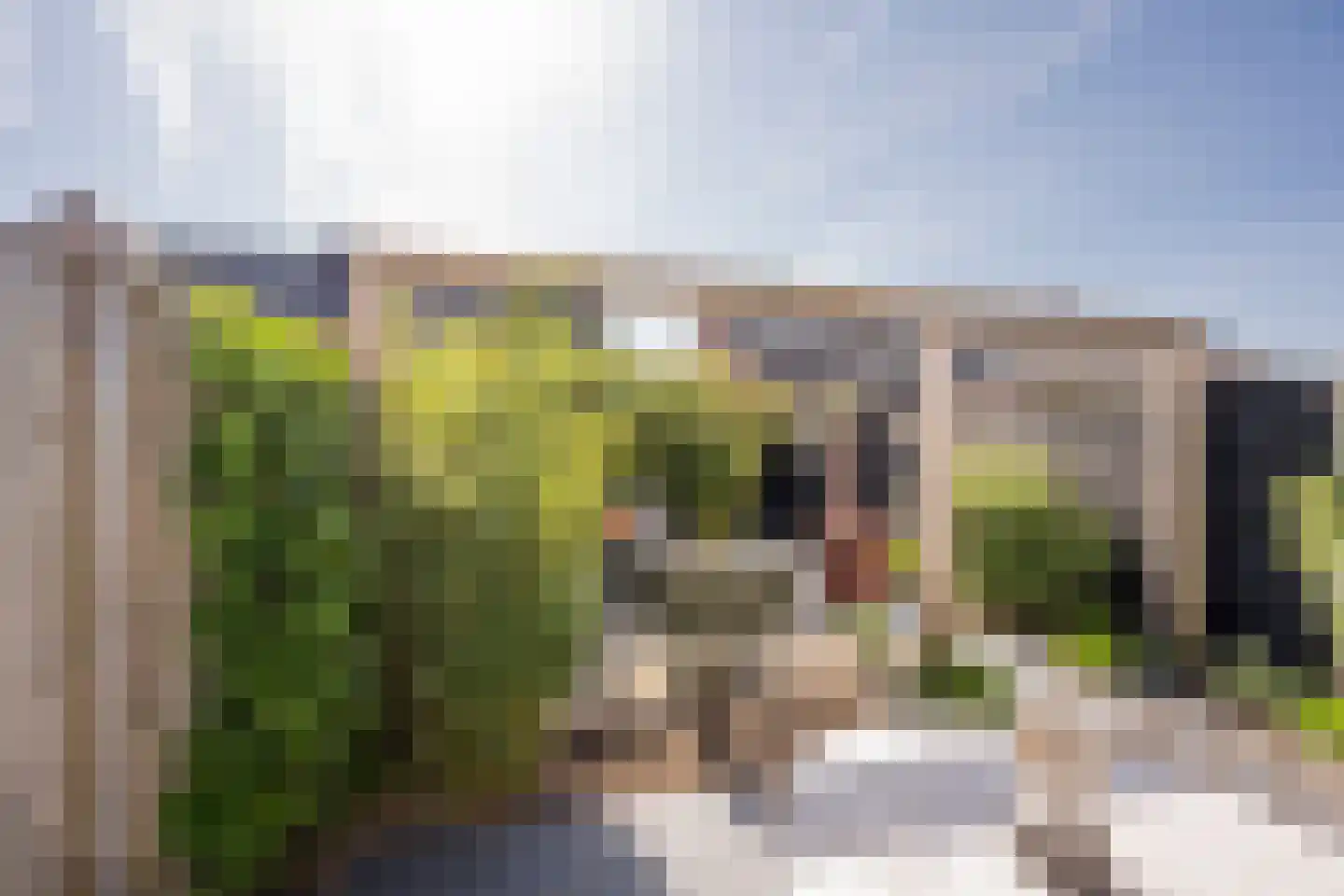 Beemdgras 20 Nijkerkerveen thumbnail 31