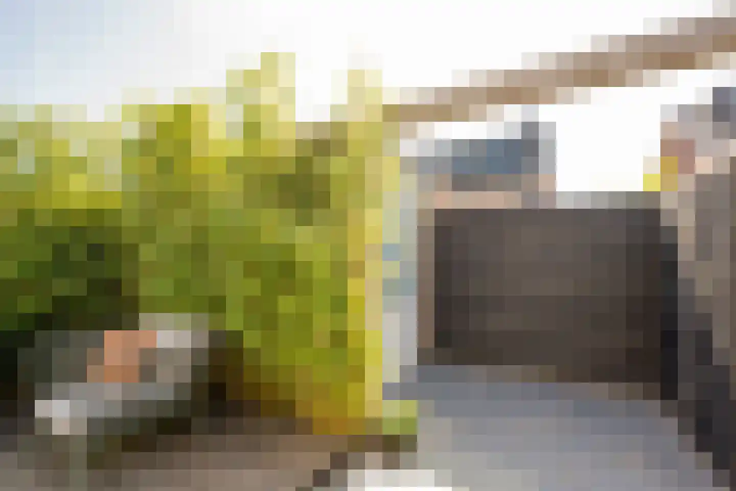 Beemdgras 20 Nijkerkerveen thumbnail 34