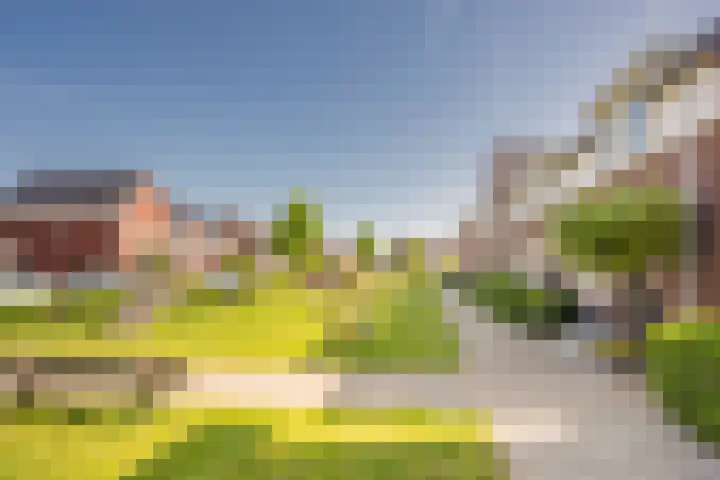 Beemdgras 20 Nijkerkerveen thumbnail 36