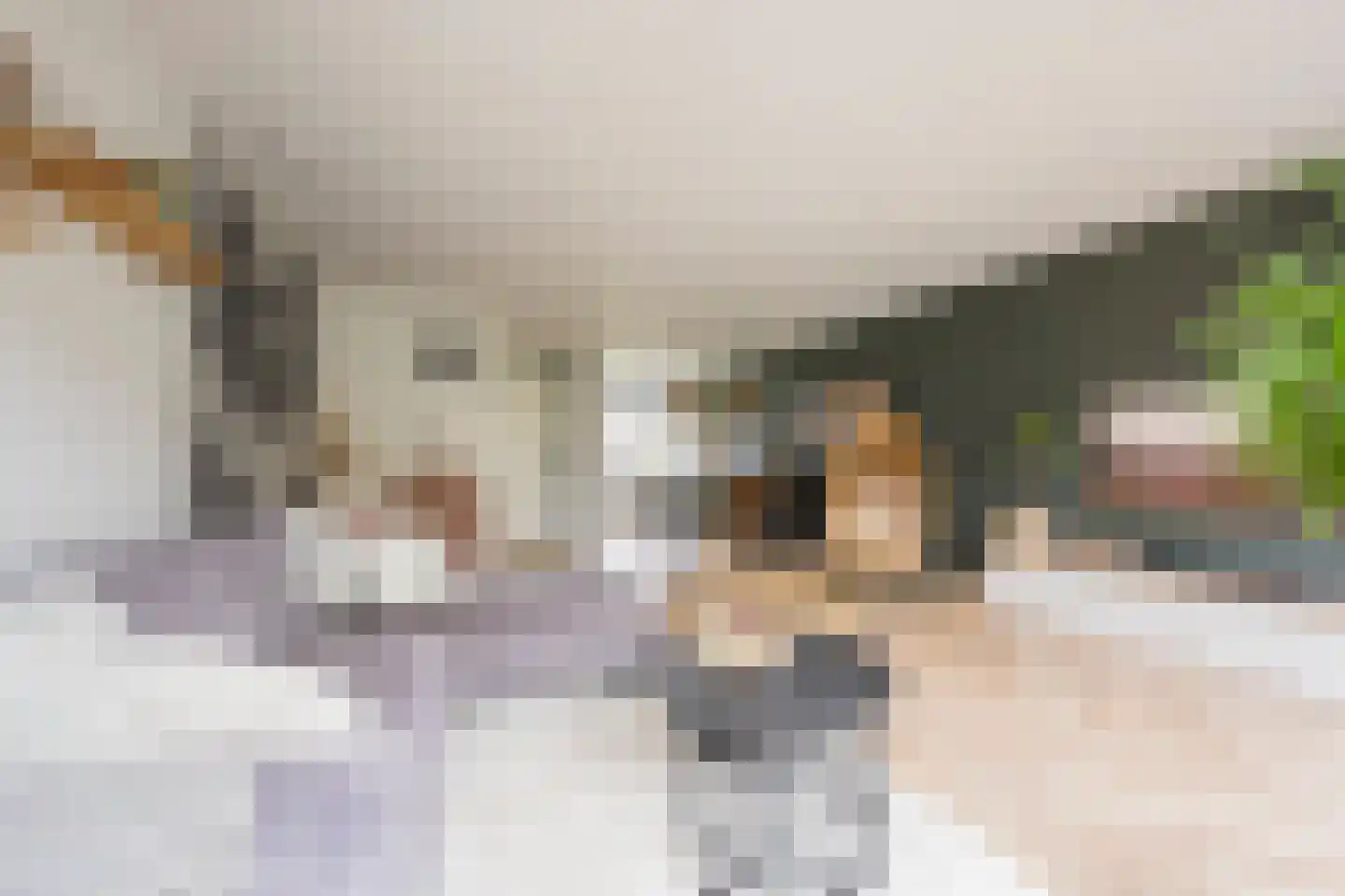 Beemdgras 20 Nijkerkerveen thumbnail 5