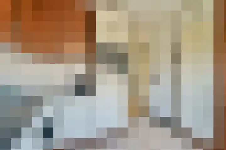 Beemdgras 24 Wilnis thumbnail 10