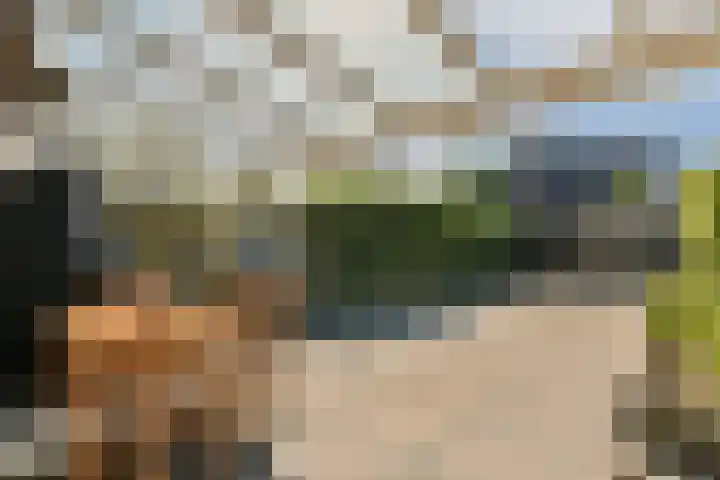 Beemdgras 24 Wilnis thumbnail 11