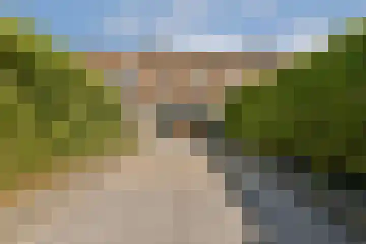 Beemdgras 24 Wilnis thumbnail 12